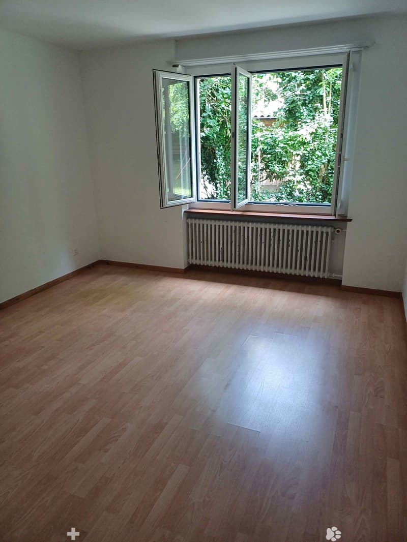 Empty room with wooden flooring, white walls, and large windows with open shutters, showing a view of greenery outside.
