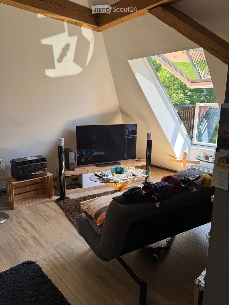 Living room with wooden floor, slanted ceiling, large window, sofa, TV, table, and various items including hats and a fan.