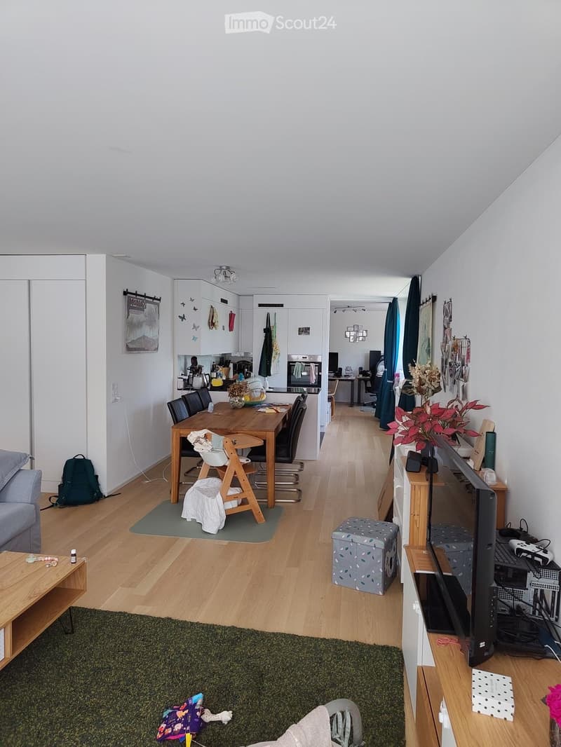 A modern, open-plan living and dining area with wooden flooring, a grey sofa, coffee table, dining table with chairs, baby chair, TV stand with a television, and various decorative items including plants and artwork.