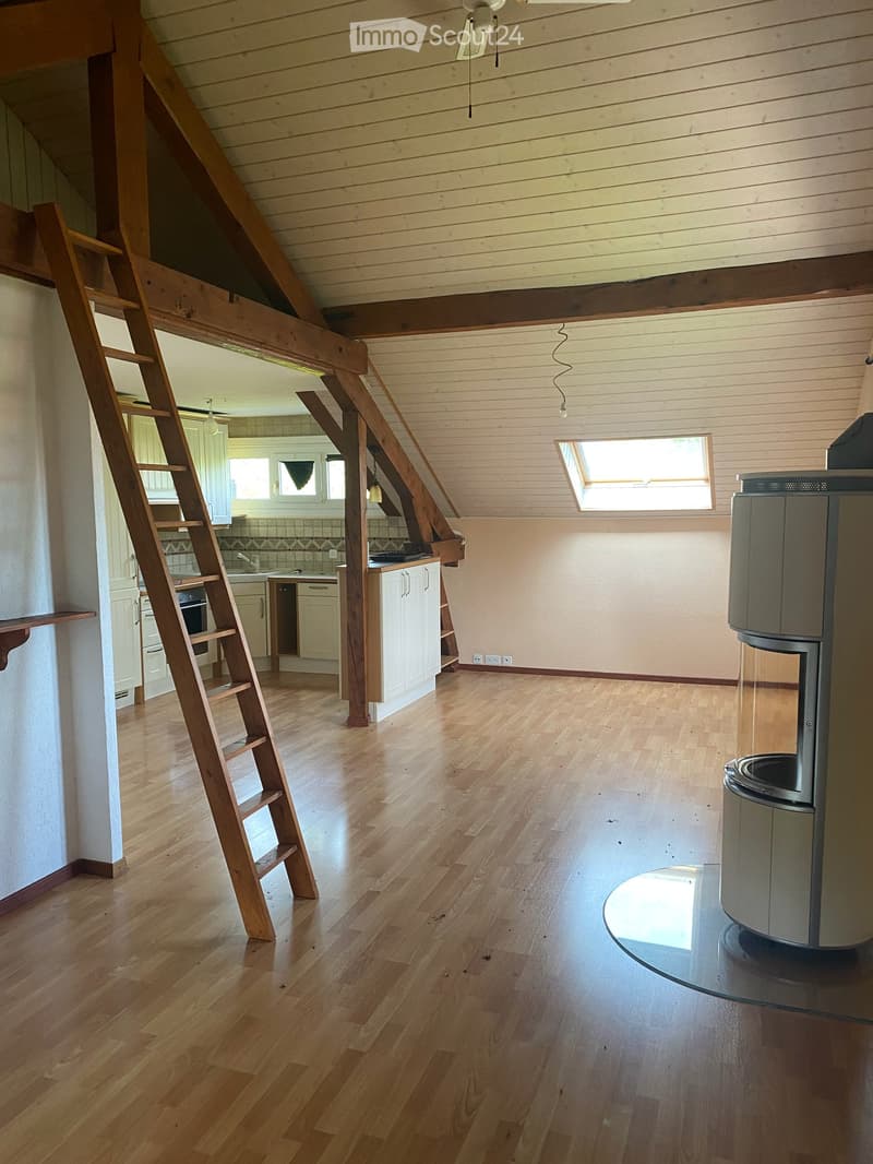 Charming individual house with 8 rooms in Versoix – available immediately for 6-month lease (2)