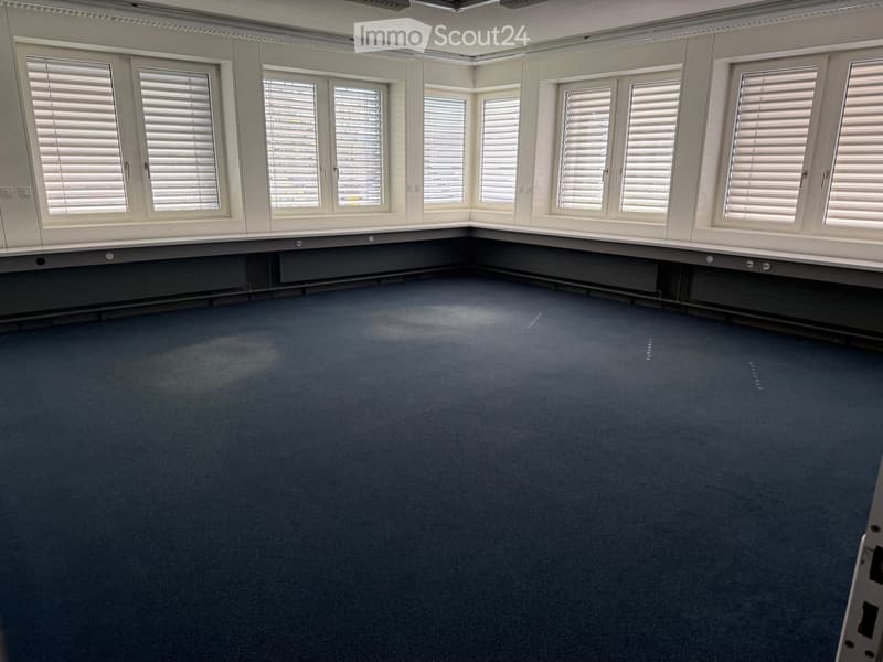 Completely empty room with bare walls and blue carpeted floor. Multiple large windows with white blinds are present along one wall.