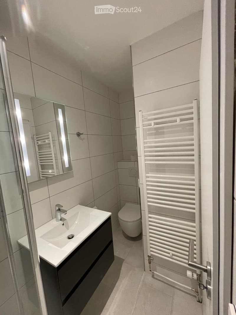 Modern bathroom with a white sink, chrome faucet, mirror, toilet, and a white radiator. The walls are tiled in light gray, and the floor is also tiled.