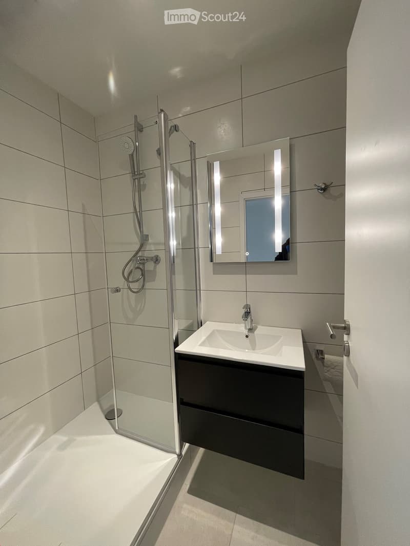 Modern bathroom with a white tiled shower area, a black vanity with a white sink, and a mirrored cabinet above the sink.