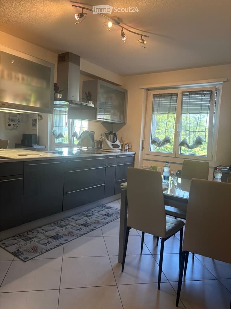 Modern kitchen with grey cabinetry, stainless steel appliances, a coffee maker, and a dining area with a glass table and chairs.