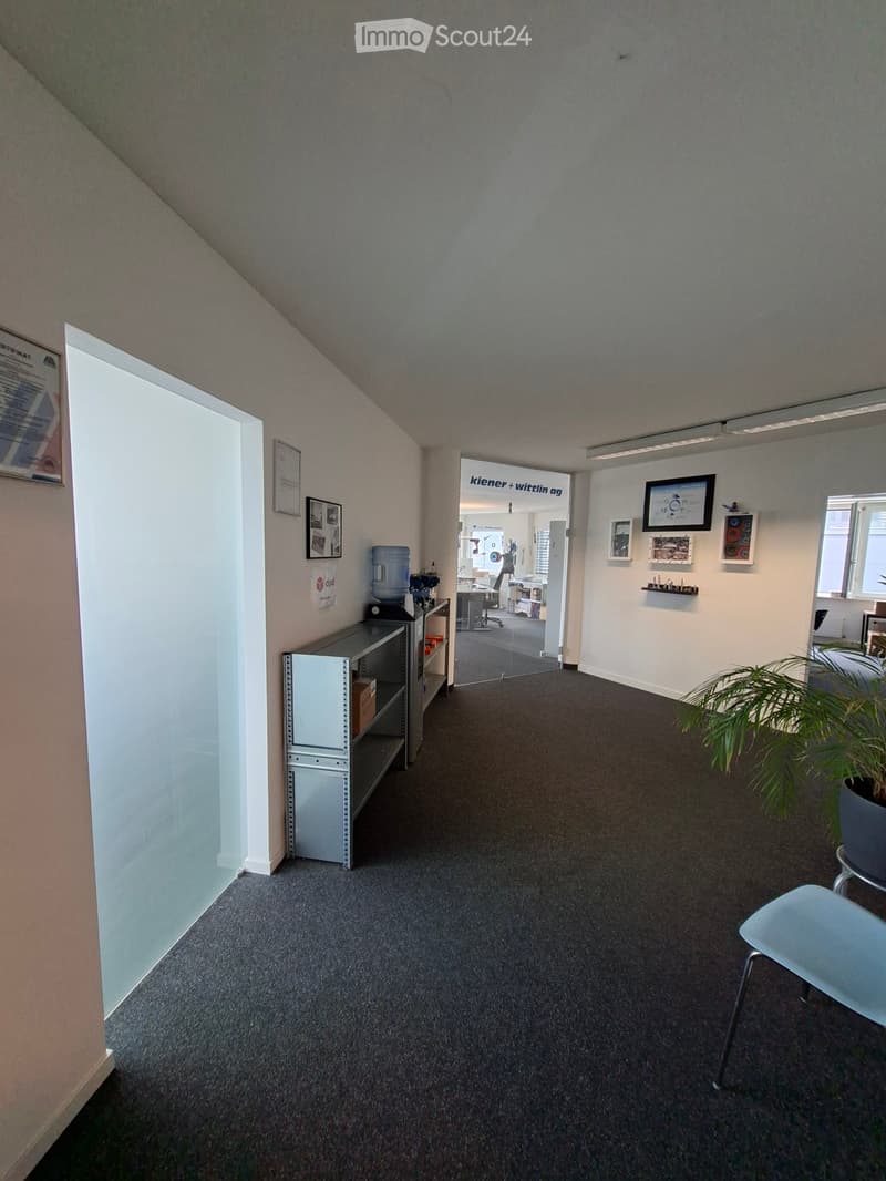 Office hallway with carpeted floor, white walls, shelves, and framed pictures. A water cooler and potted plant are visible.