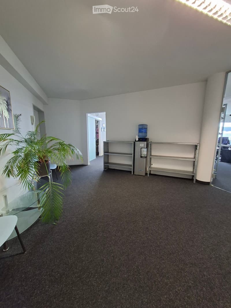 A well-lit, carpeted room with a glass table, a potted plant, a refrigerator, and shelves. The room has a door leading to another area and a large window letting in natural light.