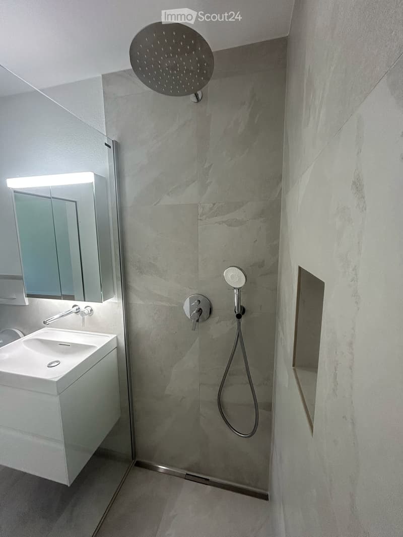 Appartement 2.5 pièces - 60 m2 – avec vue sur les Alpes (10)