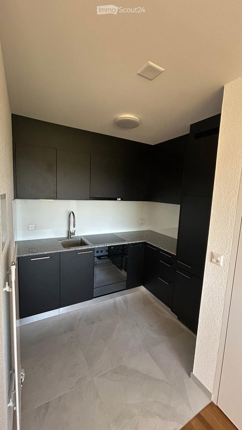 Appartamento 2,5 locali - 60 m2 - al pianterreno - con vista sulle Alpi (3)