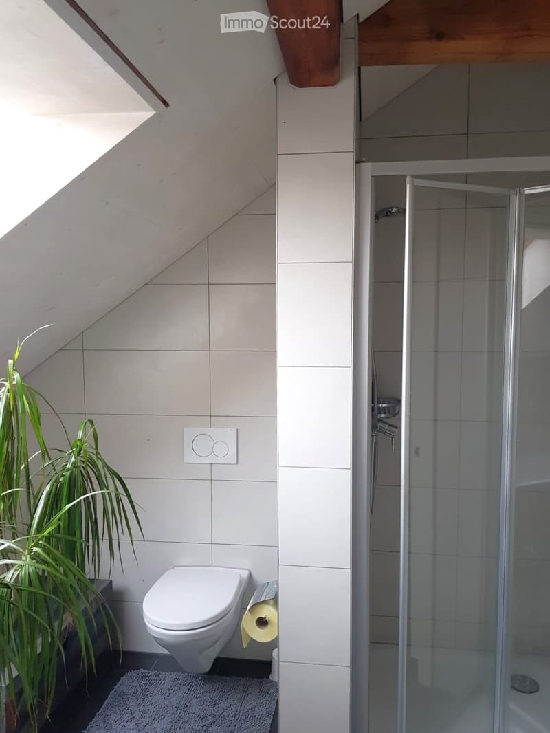 Modern bathroom with a toilet, shower, plant, and toilet paper holder. The shower has a glass enclosure, and the walls are tiled in light gray.