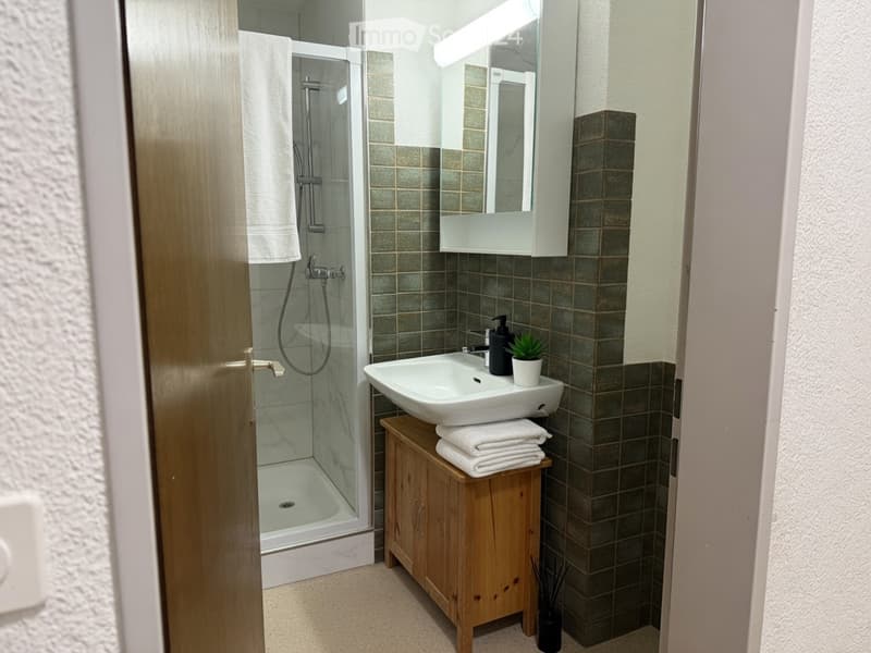 Modern bathroom with a white sink, wooden cabinet, mirror, and glass-enclosed shower. Includes towels, a small plant, and a soap dispenser.