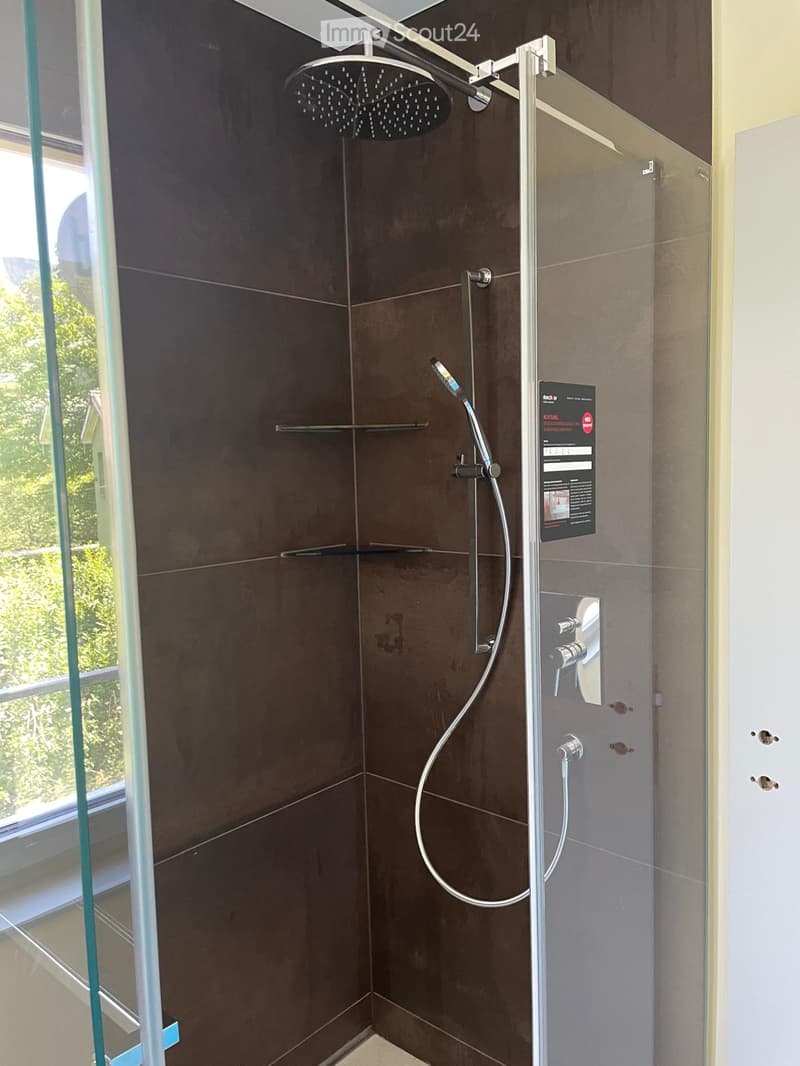 Modern shower area with dark brown tiles, glass enclosure, handheld showerhead, and built-in shelves.