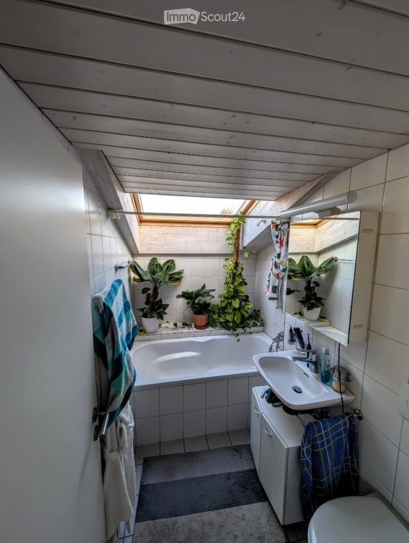 Bathroom with a bathtub, sink, mirror, cabinet, and toilet. Features a skylight window, potted plants, and a towel hanging on the wall.