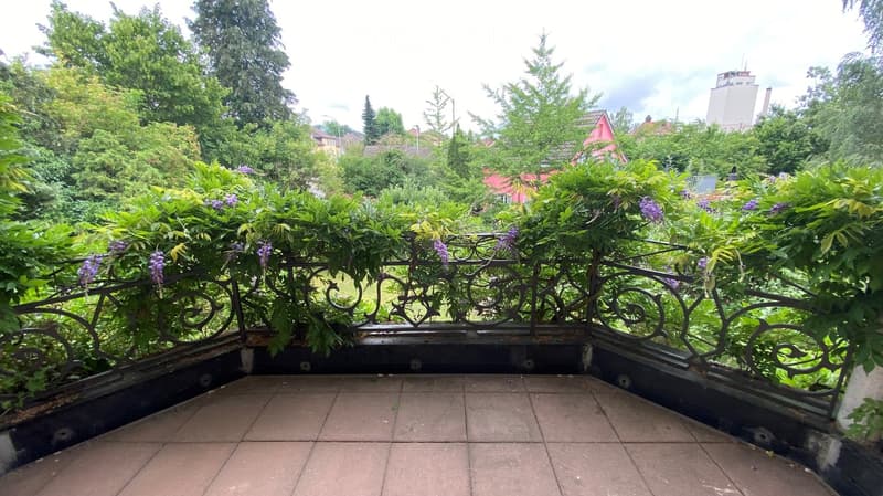Balcony with tiled floor, black railings, green plants, purple flowers, view of trees and houses