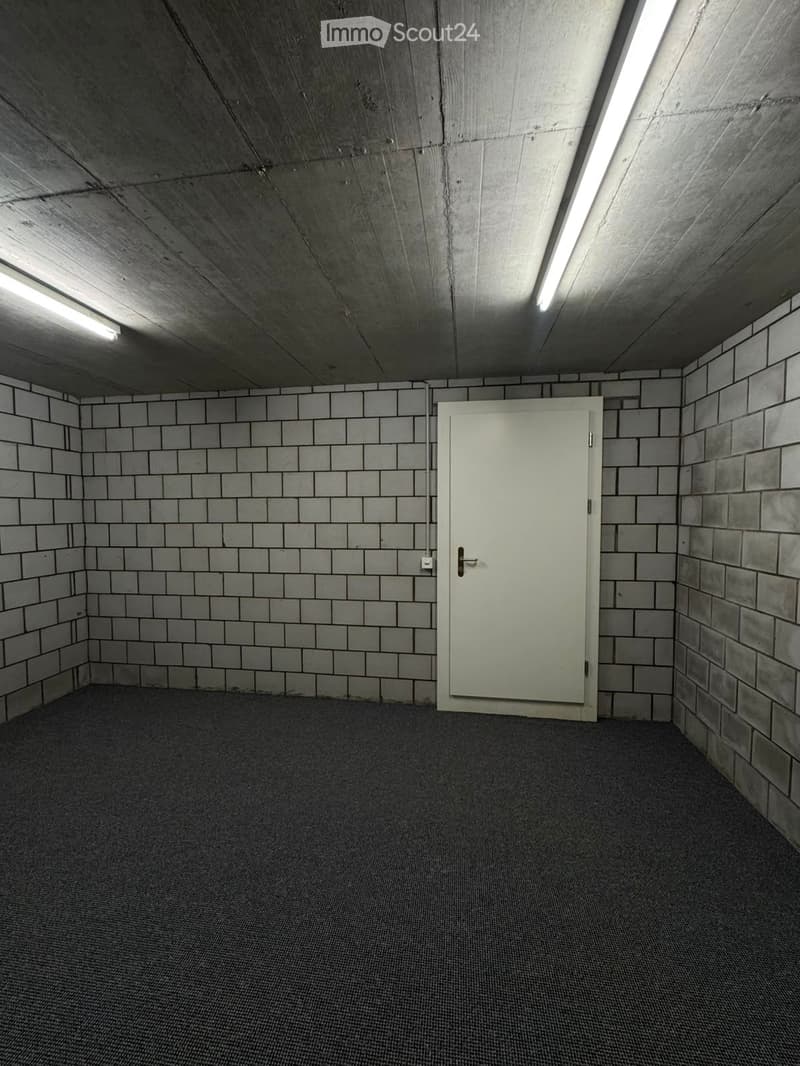 Empty room with grey brick walls, concrete ceiling, and a single white door. The floor is covered with a dark grey carpet.