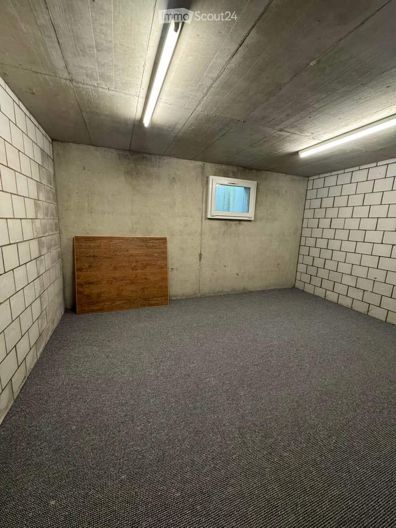 Empty room with concrete walls, grey carpeted floor, and a single window with white frame. A wooden board is leaning against one wall.