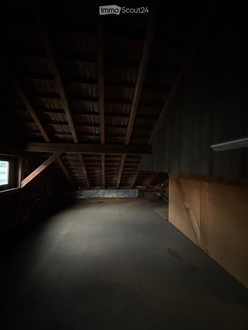Empty attic space with exposed wooden beams and a concrete floor, minimal lighting from a small window on the left.