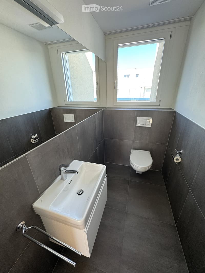 Modern bathroom with a white sink, chrome faucet, toilet, and large mirror. Dark grey tiles on walls and floor, with two windows providing natural light.