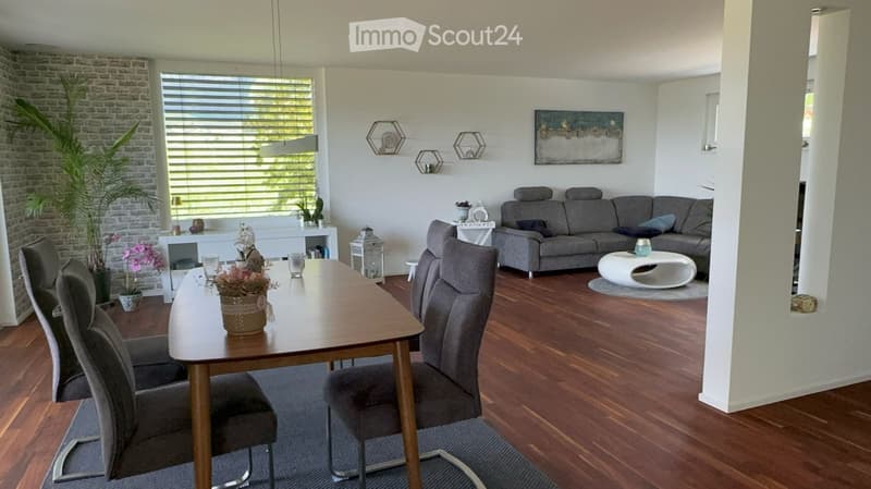 Modern living and dining area with hardwood flooring, grey sofa, white coffee table, dining table with chairs, and decorative elements including a potted plant and wall-mounted shelves.