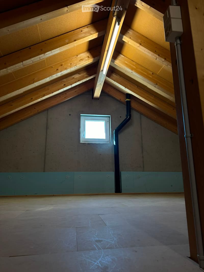 An attic space with exposed wooden beams and a skylight window, showing unfinished concrete walls and floor.
