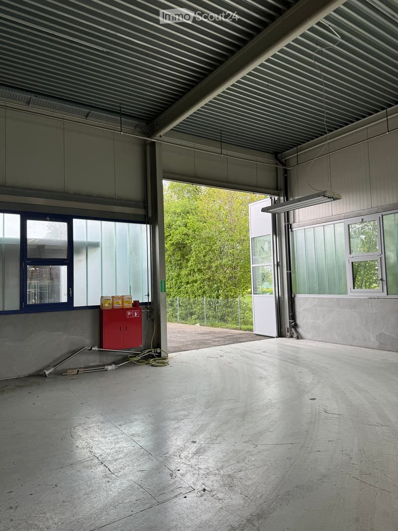 Garage, gray walls, open door, large windows, metal ceiling, fire extinguisher box, outdoor trees, fence