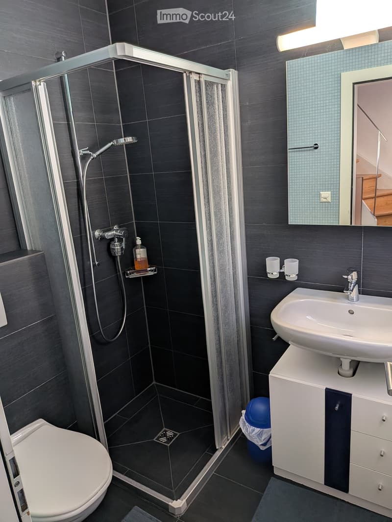 Modern bathroom with dark tiled walls and floor, featuring a shower with glass enclosure, a toilet, a sink with a cabinet, and a mirror above the sink.