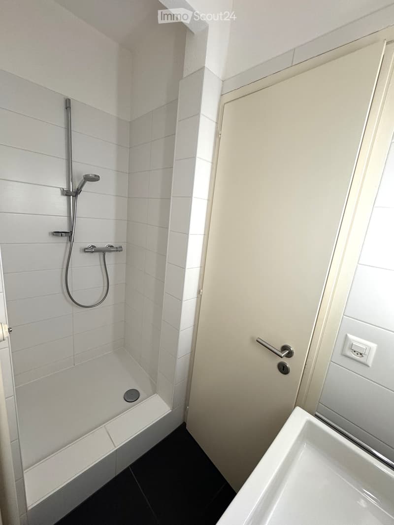 Modern bathroom with white tiled shower area, handheld showerhead, and a white sink. The shower has a glass door and a built-in seat.