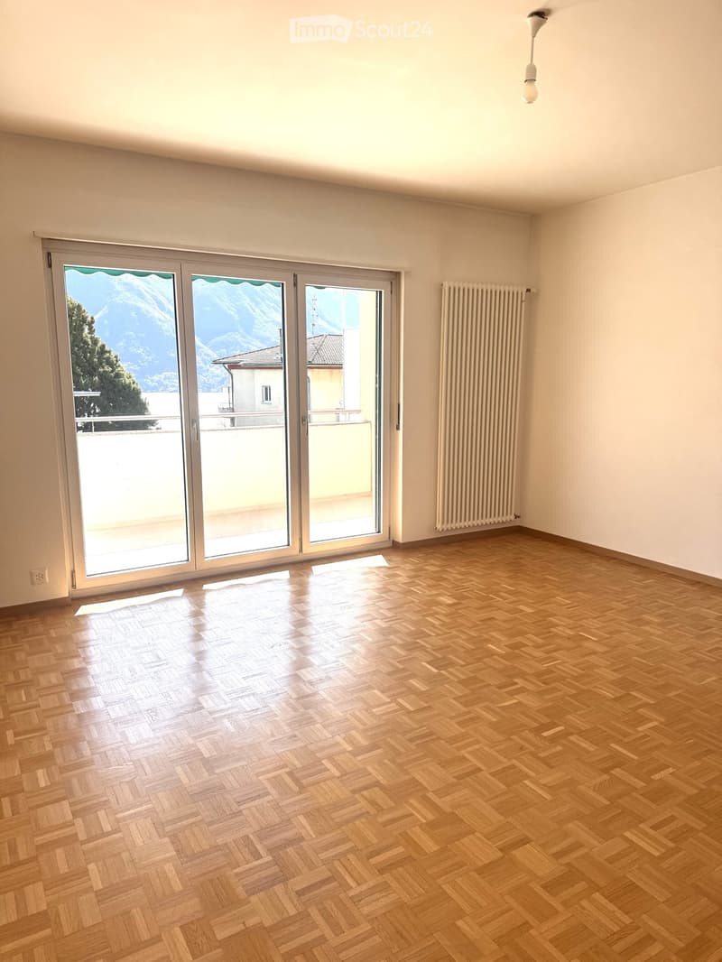 Empty room with wooden herringbone flooring, large sliding glass doors leading to a balcony, and a radiator on the wall.