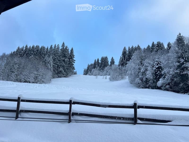Snow-covered outdoor area with a wooden fence and snow-laden evergreen trees in the background.