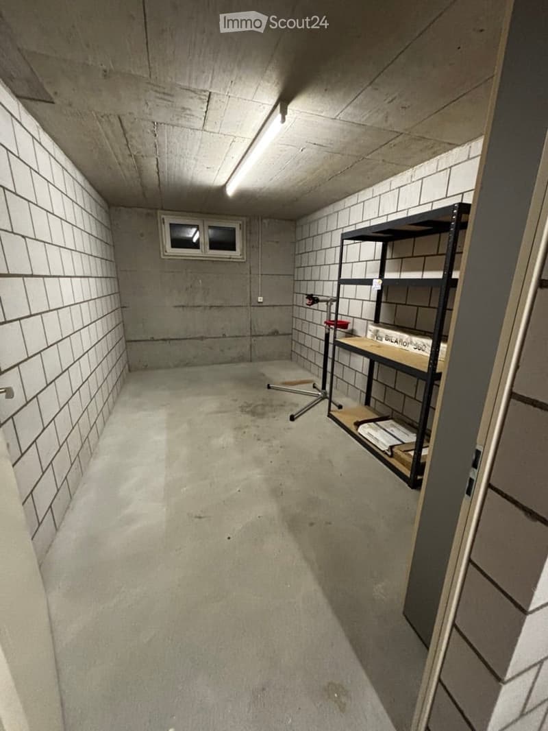 Empty basement room with concrete walls and floor, a small window, and a single metal shelving unit with a few items on it.