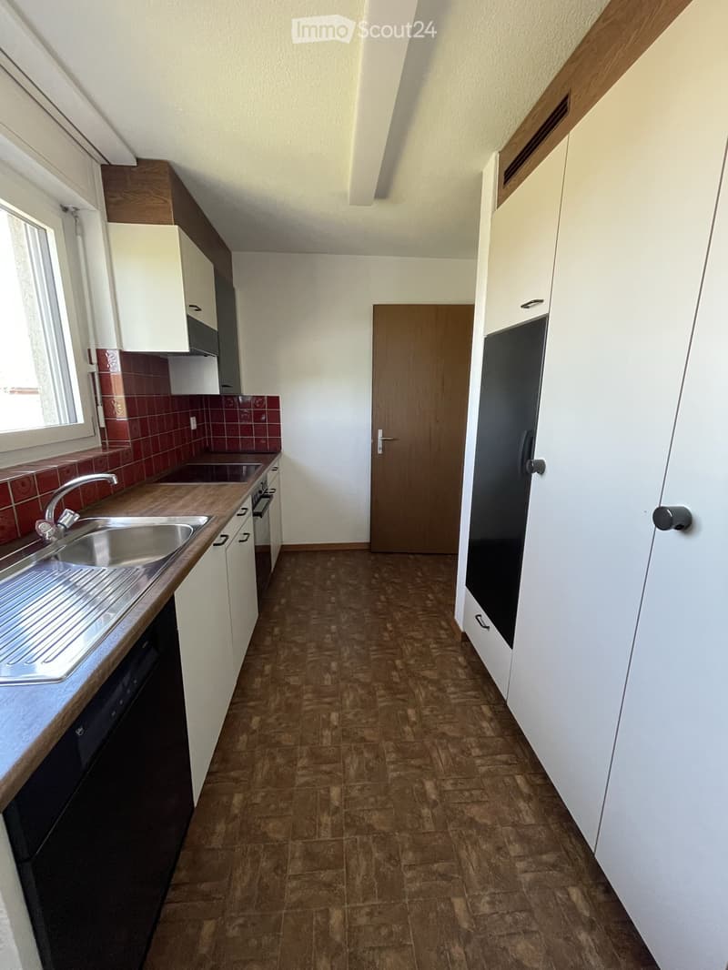 Modern kitchen with wooden flooring, white cabinets, a stainless steel sink, and a dishwasher. The backsplash is red tiled, and there is a window on the left side.