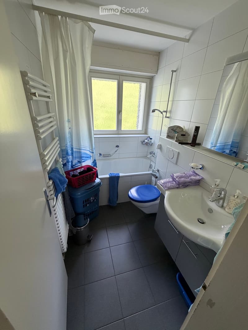 3-1/2 Zimmer-Wohnung OG (6)