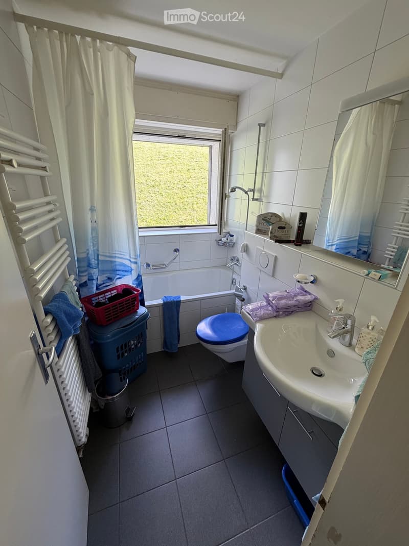 3-1/2 Zimmer-Wohnung OG (5)