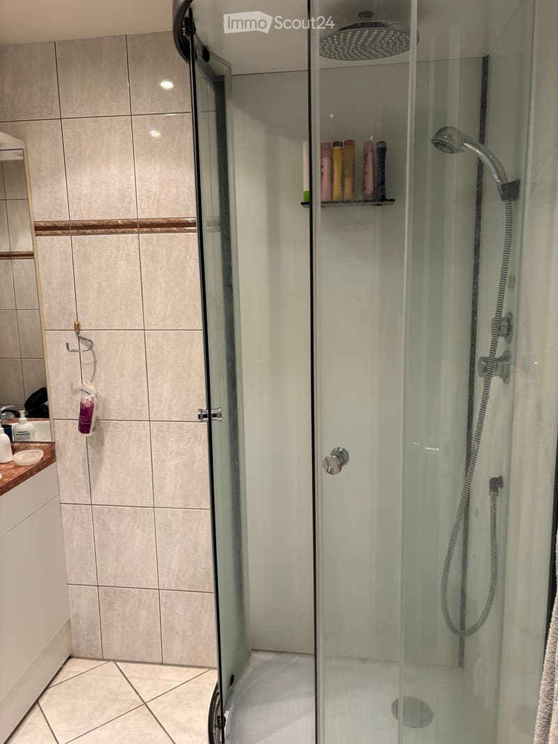 Modern bathroom with a glass-enclosed shower, bathtub, tiled walls, and a built-in shelf holding toiletries.