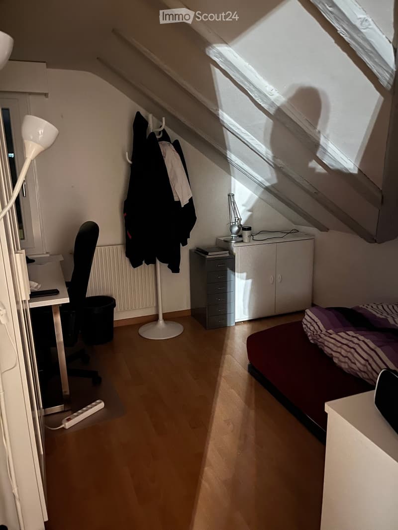 Cozy attic bedroom with wooden flooring, slanted ceiling, and skylight. Features a single bed with striped bedding, a desk with a chair, a small cabinet, and a floor lamp.