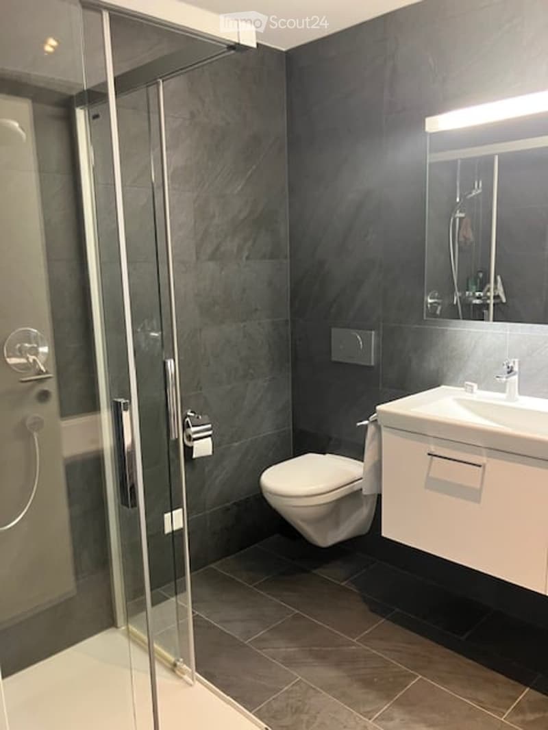 Modern bathroom with dark grey tiles, white fixtures, glass shower enclosure, and a built-in sink cabinet.