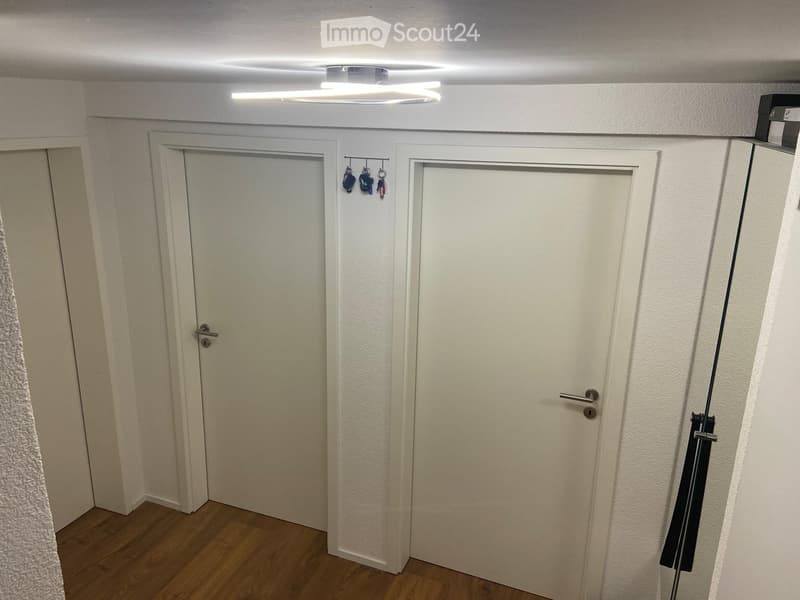 A hallway with two white doors, a wooden floor, and a ceiling light.
