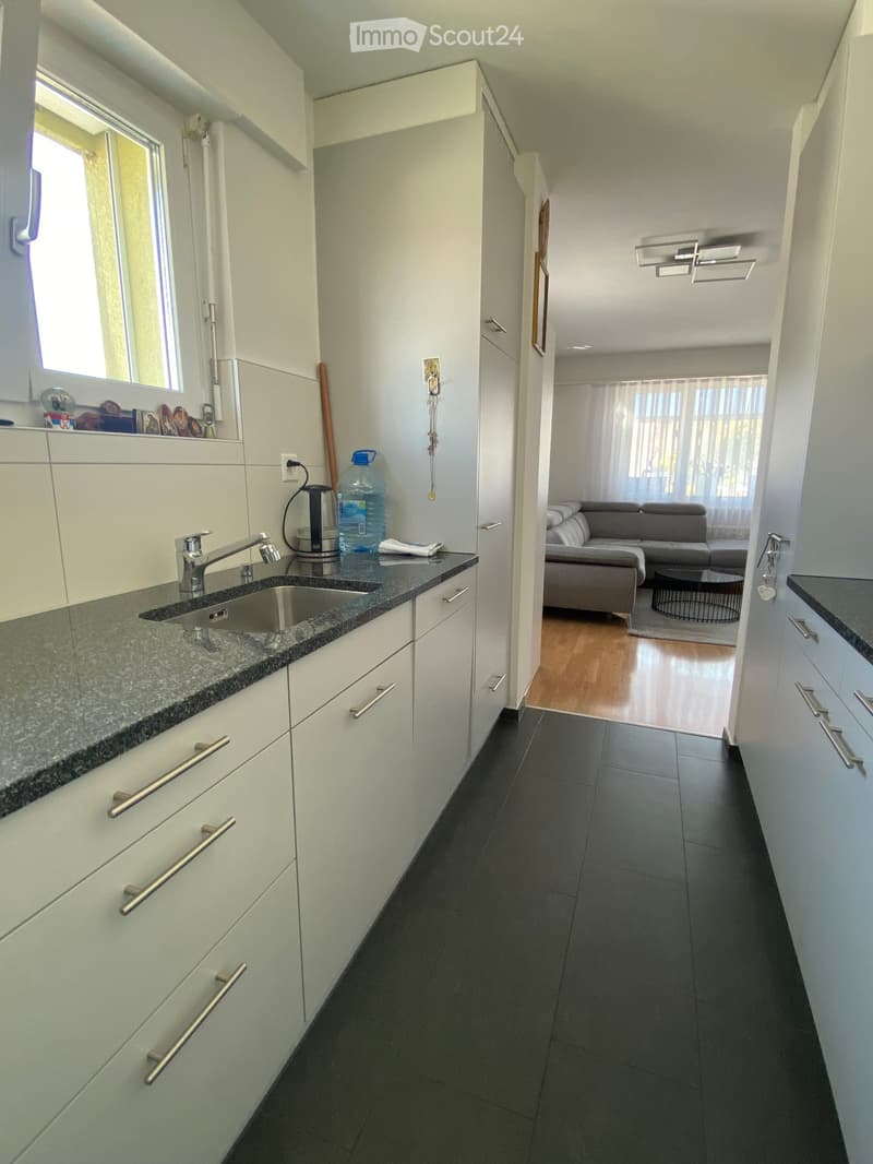 Modern kitchen with white cabinets, granite countertop, and stainless steel sink. Visible living room area with grey sofa and coffee table.