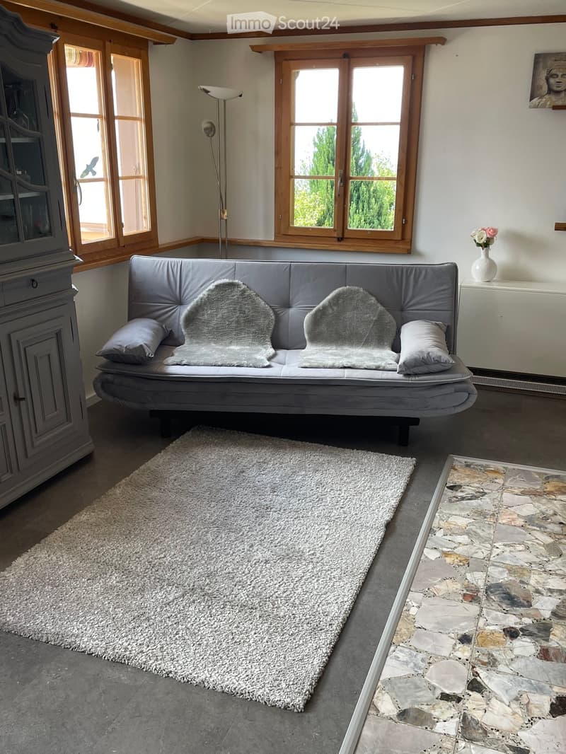A modern living room with a grey sofa, floor lamp, cabinet, and a white rug on the floor.