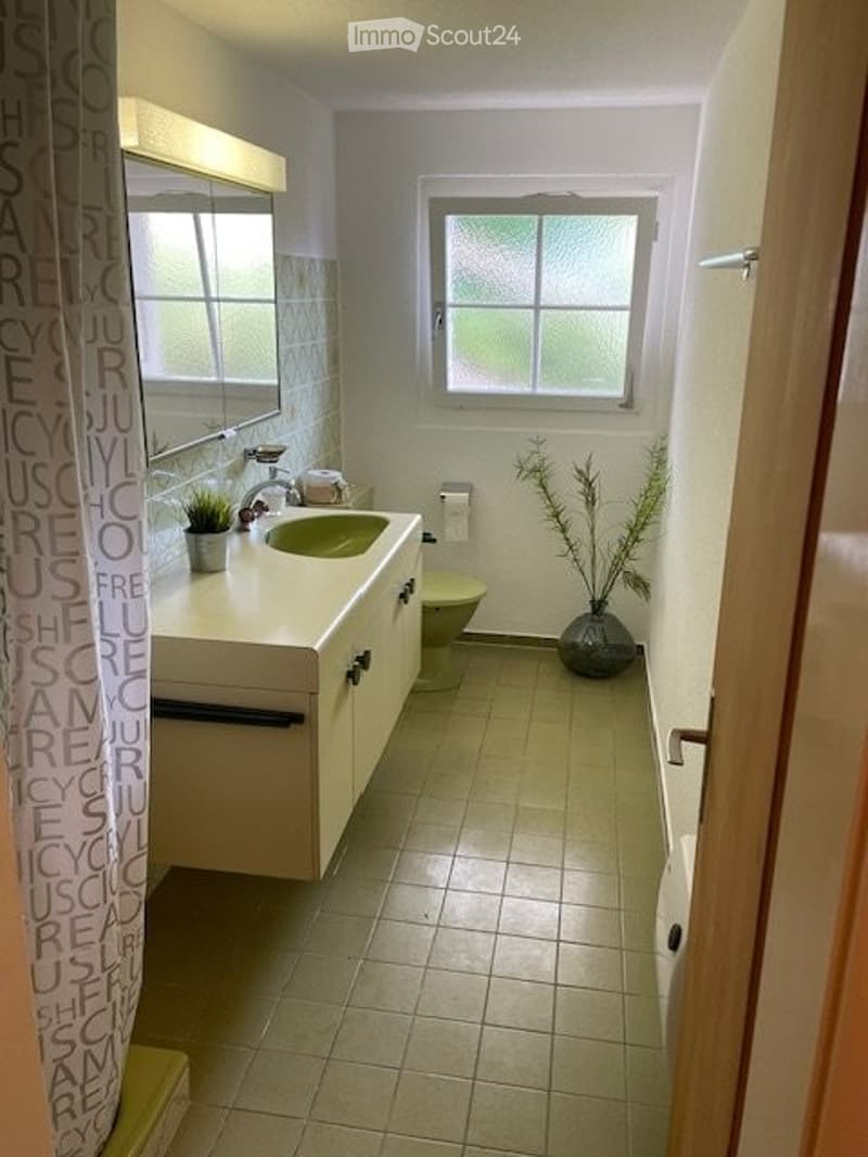 Bathroom with a white vanity, green sink, mirror, toilet, and small potted plants on the counter.