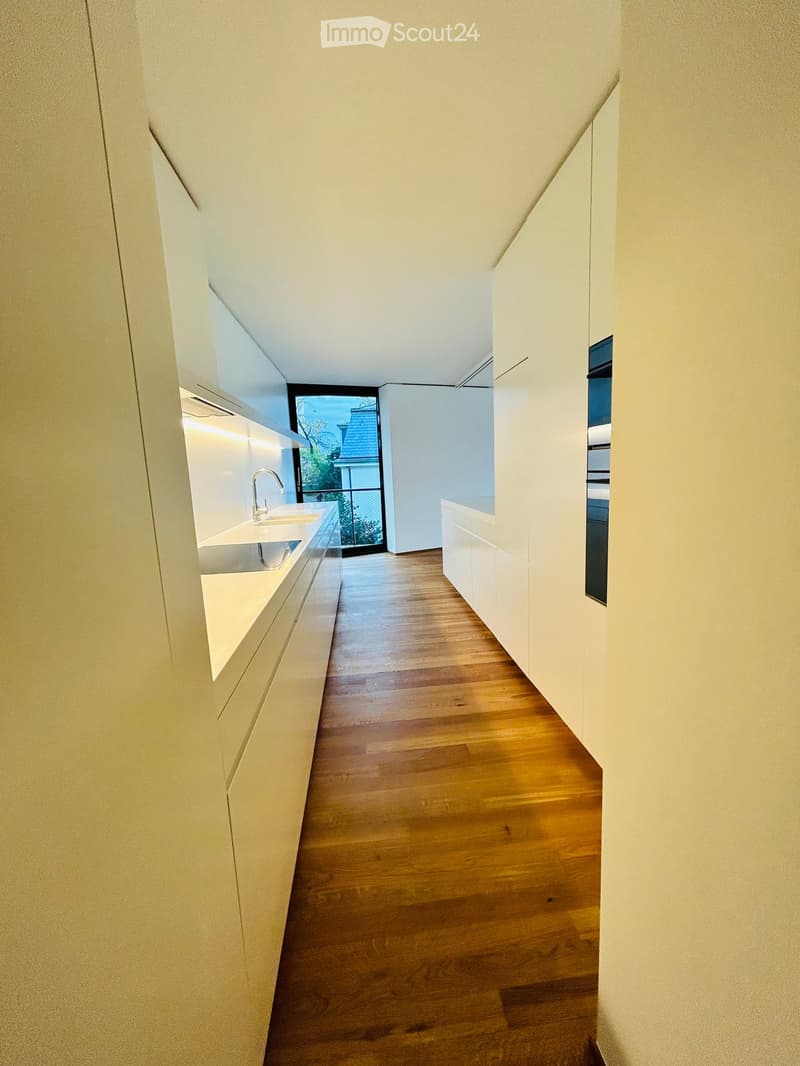 Modern hallway with wooden flooring, white walls, and built-in cabinets. Features a small sink area with a faucet and a window overlooking an outdoor area.