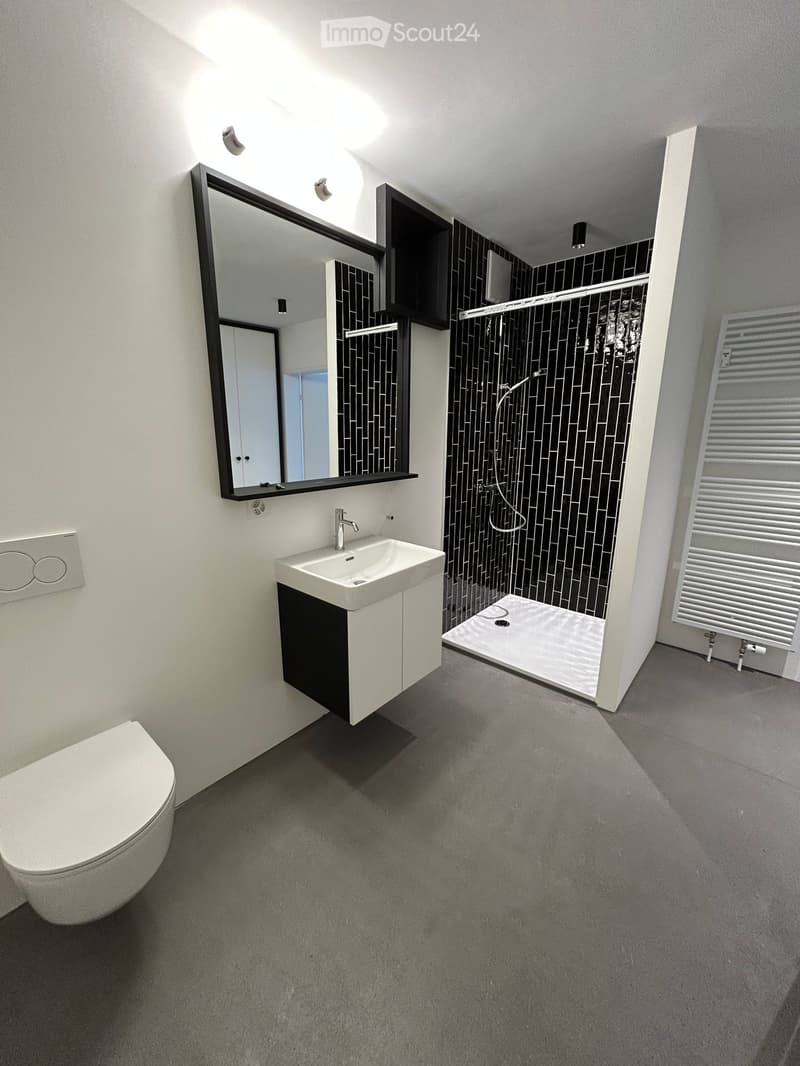 Modern bathroom with a white toilet, sink, mirror, and a shower area with black tiles. Features a radiator and sleek, contemporary design.