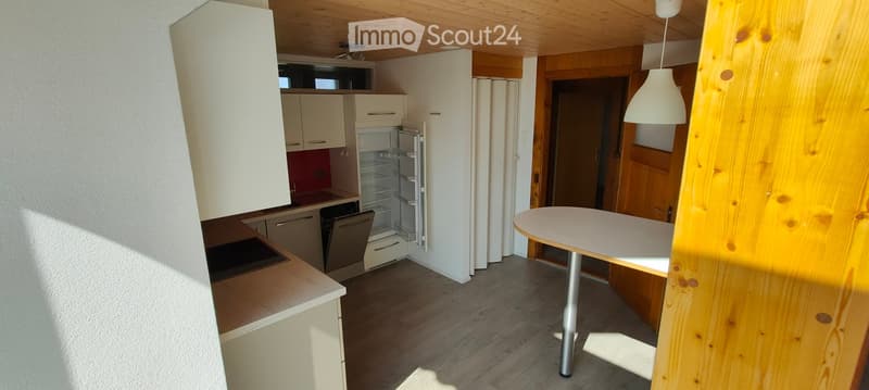 kitchen with dishwasher, fridge, cabinets, countertop, induction cooktop, wooden ceiling