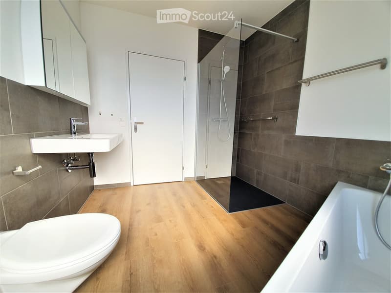 Modern bathroom with wooden flooring, a white toilet, a sink with a chrome faucet, a bathtub, a glass-enclosed shower, and a mirrored cabinet.