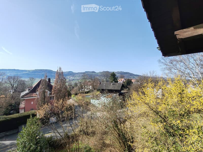 hillside view, trees, bushes, houses, mountains in the distance