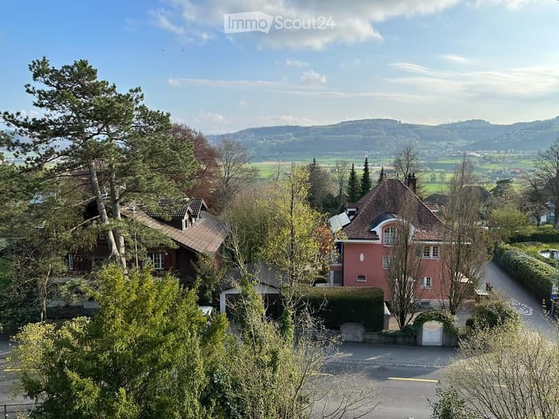 Aerial view of a house with a red facade, surrounded by trees and bushes, with a mountain range in the background.