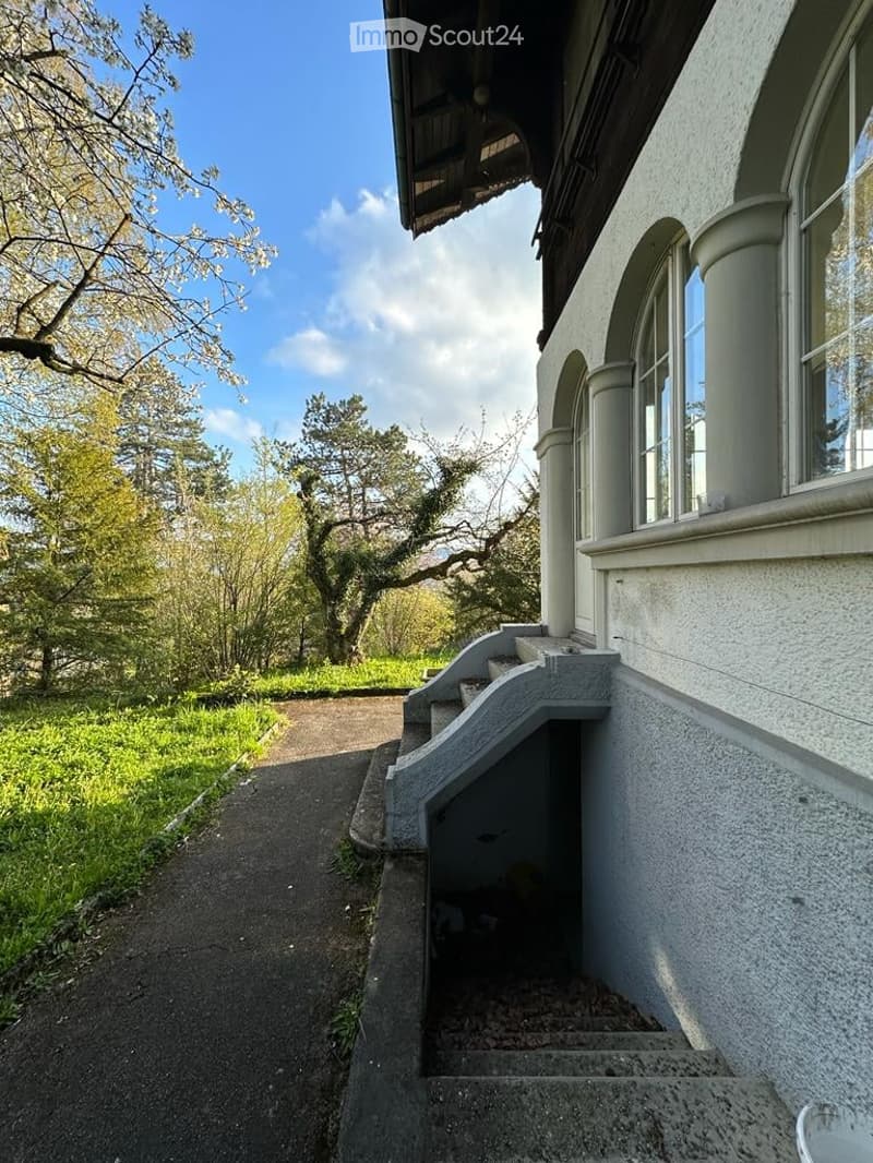 white house, concrete steps, concrete pathway, green grass, trees, bushes, clear sky