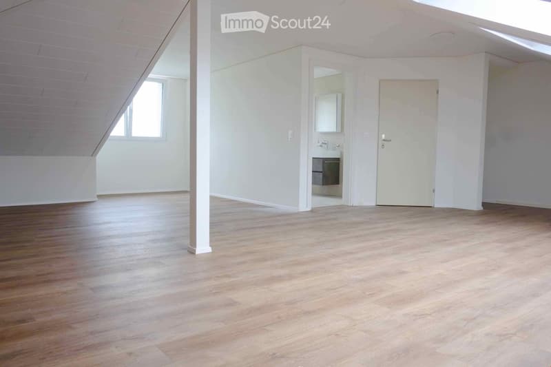 Empty room with wooden flooring, white walls, and a small adjacent bathroom area with a sink and mirror.
