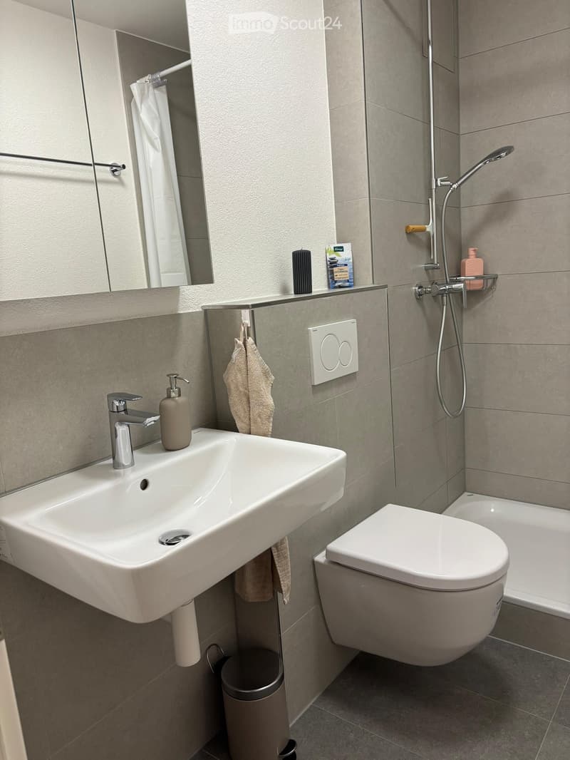 Modern bathroom with a white sink, chrome faucet, toilet, bathtub, mirror, towel, soap dispenser, showerhead, and a small shelf holding a candle and toiletries.