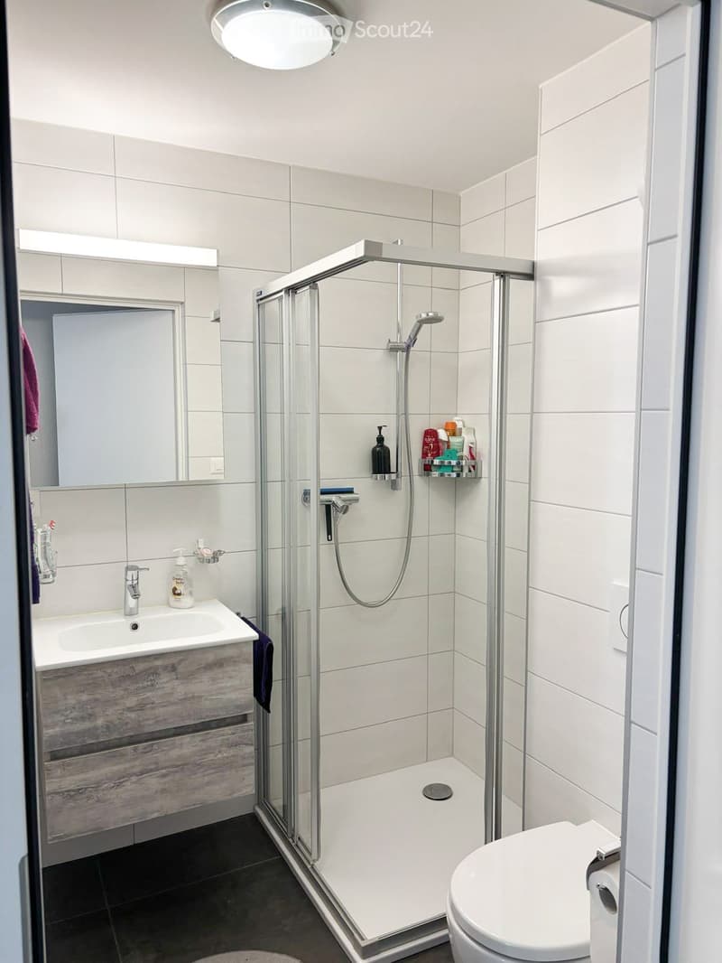 Modern bathroom with a white tiled shower stall, a sink with a wooden vanity, a toilet, and a large mirror above the sink.