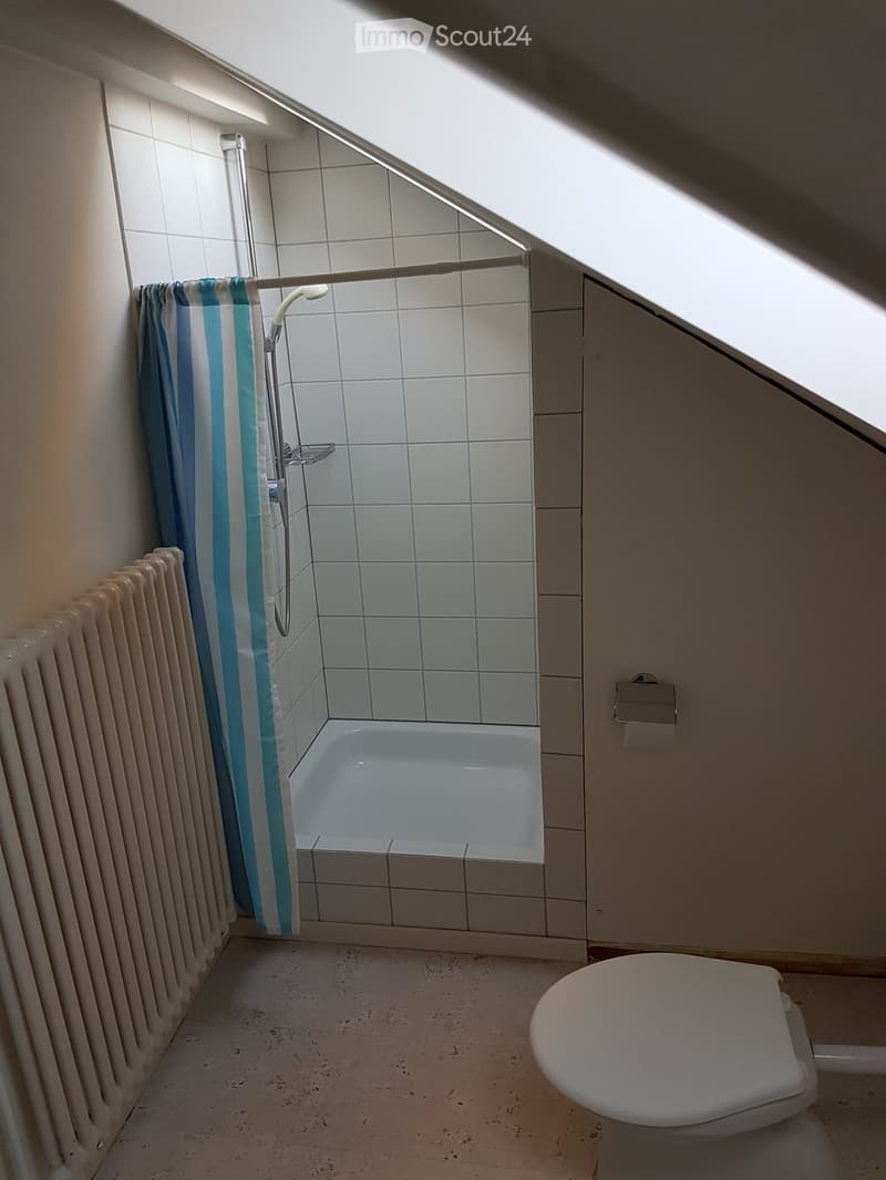 Small bathroom with white tiles, shower, toilet, radiator